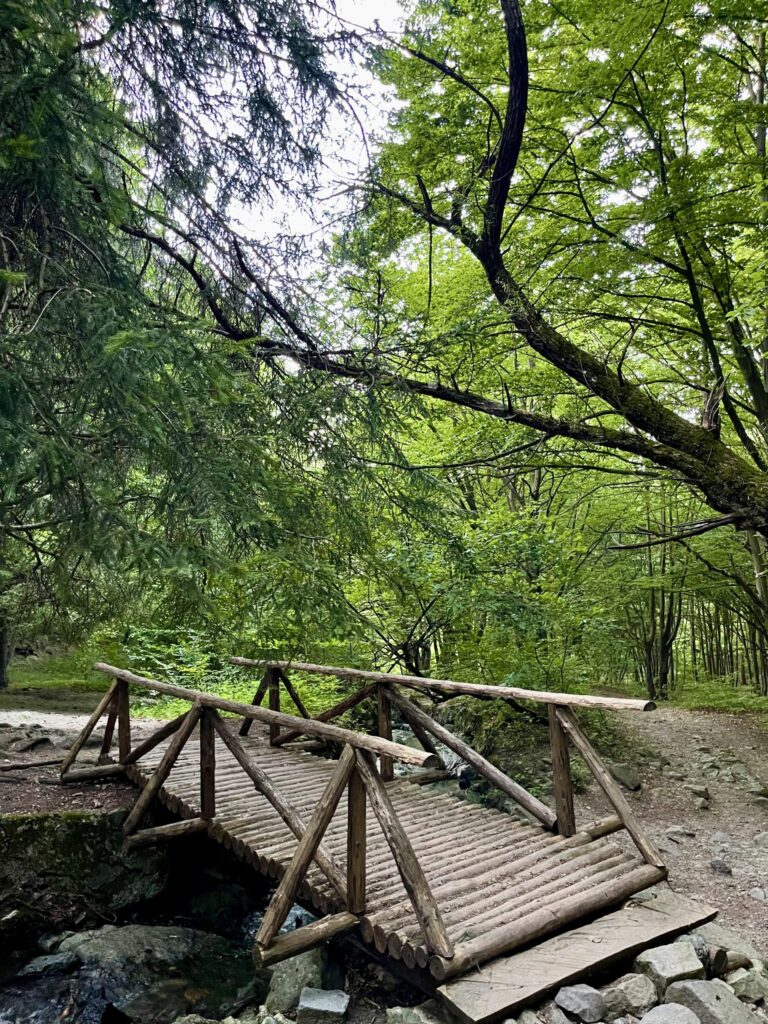 nature